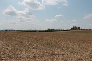Aratott repcemező